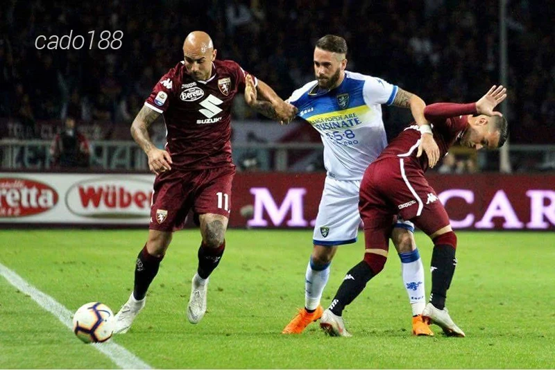Nhận định soi kèo Torino vs Frosinone, 03h00 ngày 03:11