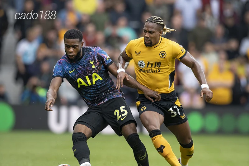 Nhận định soi kèo Wolves vs Tottenham, 19h30 ngày 11:11