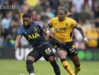 Nhận định soi kèo Wolves vs Tottenham, 19h30 ngày 11:11