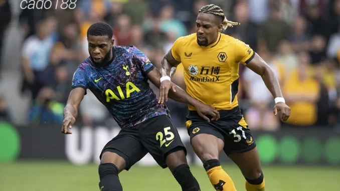 Nhận định soi kèo Wolves vs Tottenham, 19h30 ngày 11:11