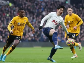 Soi kèo xiên 11/11 Wolves vs Tottenham, Ngoại hạng Anh
