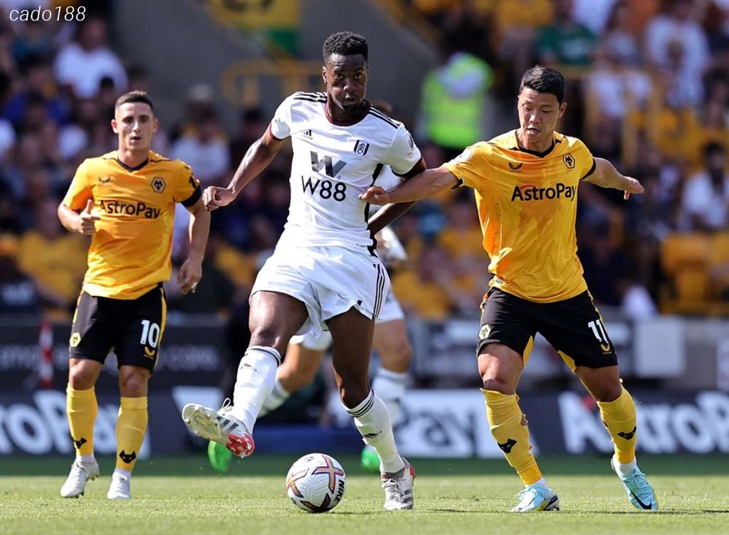 Nhận định soi kèo xiên 28/11 Fulham vs Wolves, EPL