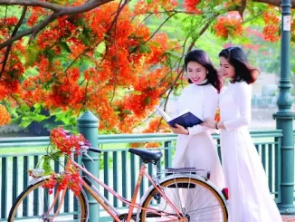 Ý nghĩa khi mơ thấy bạn cũ