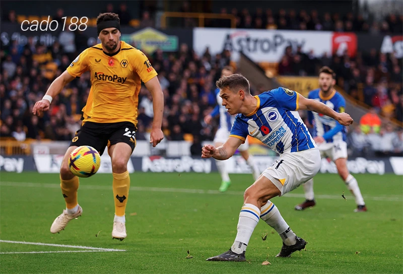 Nhận định soi kèo Brighton vs Wolves, 02h45 ngày 23.01-1