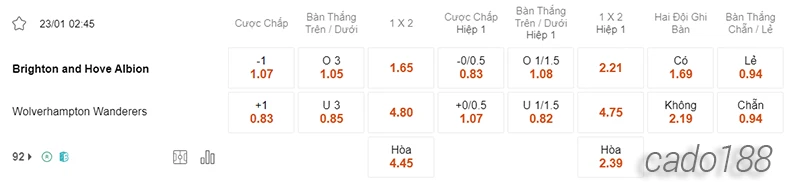 Nhận định soi kèo Brighton vs Wolves, 02h45 ngày 23.01-2
