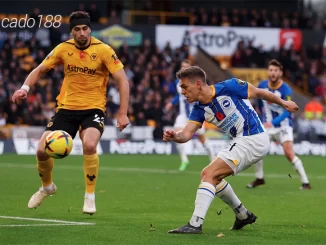 Nhận định soi kèo Brighton vs Wolves, 02h45 ngày 23.01-1