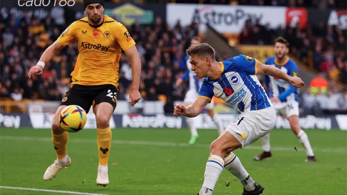 Nhận định soi kèo Brighton vs Wolves, 02h45 ngày 23.01-1