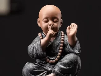 Mơ thấy chú tiểu
