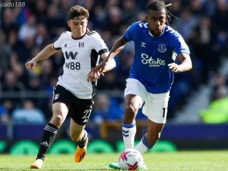 Nhận định kèo xiên 31/01 Fulham vs Everton, EPL