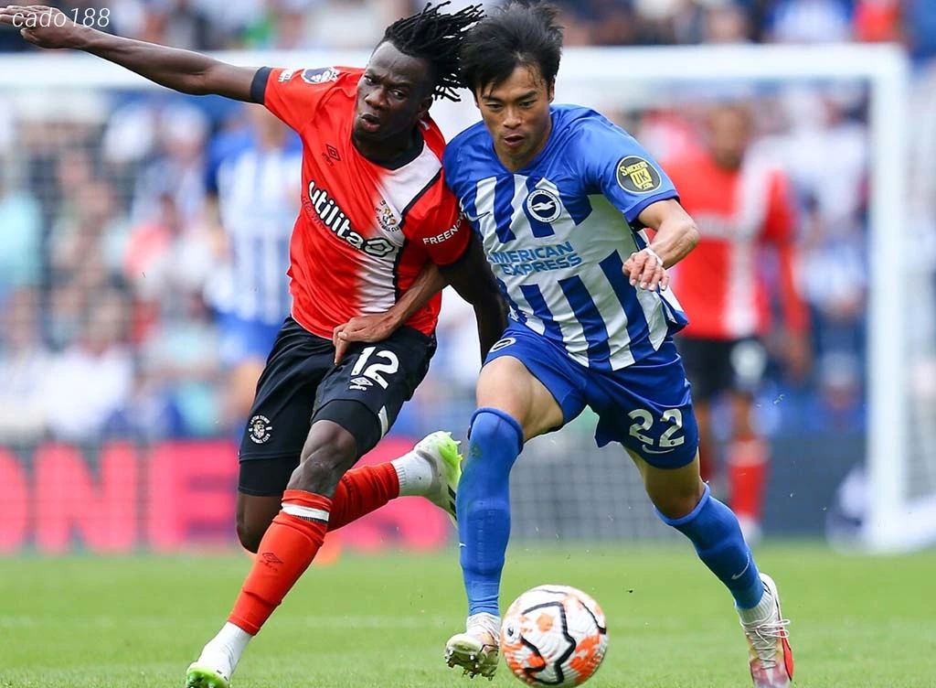 Soi kèo xiên ngày 31/01 Luton vs Brighton, Ngoại hạng Anh