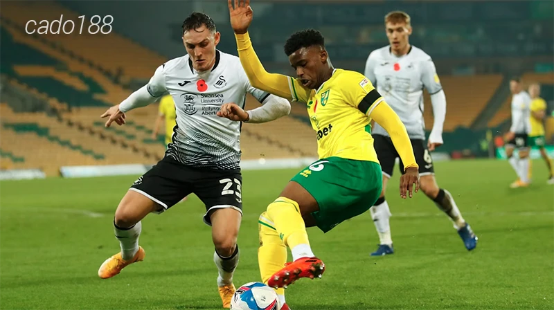 Nhận định soi kèo Norwich vs Plymouth, 22h00 ngày 29:03-1