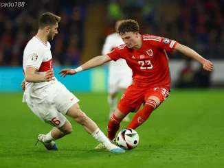 Soi kèo xiên ngày 22/03 Wales vs Phần Lan, Play-off Euro 2024