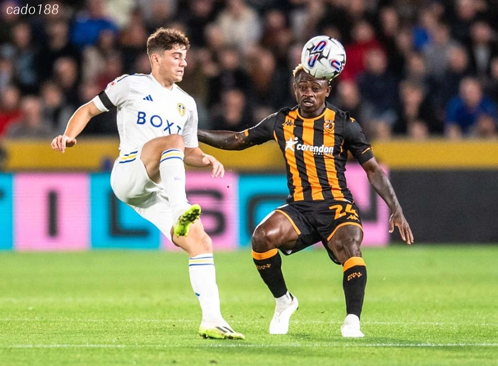Nhận định kèo xiên 02/04 Leeds United vs Hull City, Championship