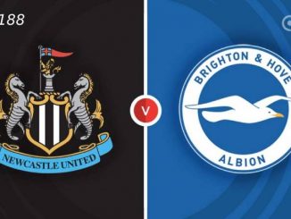 Soi kèo Newcastle vs Brighton, 21h00 ngày 11/05, EPL