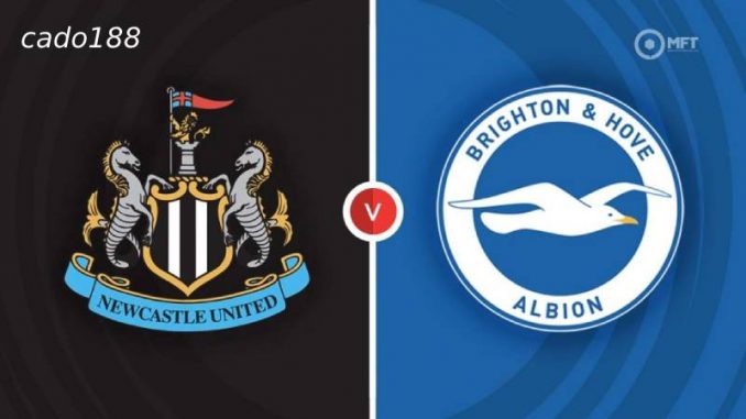 Newcastle-vs-Brighton-11-05-188bet Soi kèo Newcastle vs Brighton, 21h00 ngày 11/05, EPL