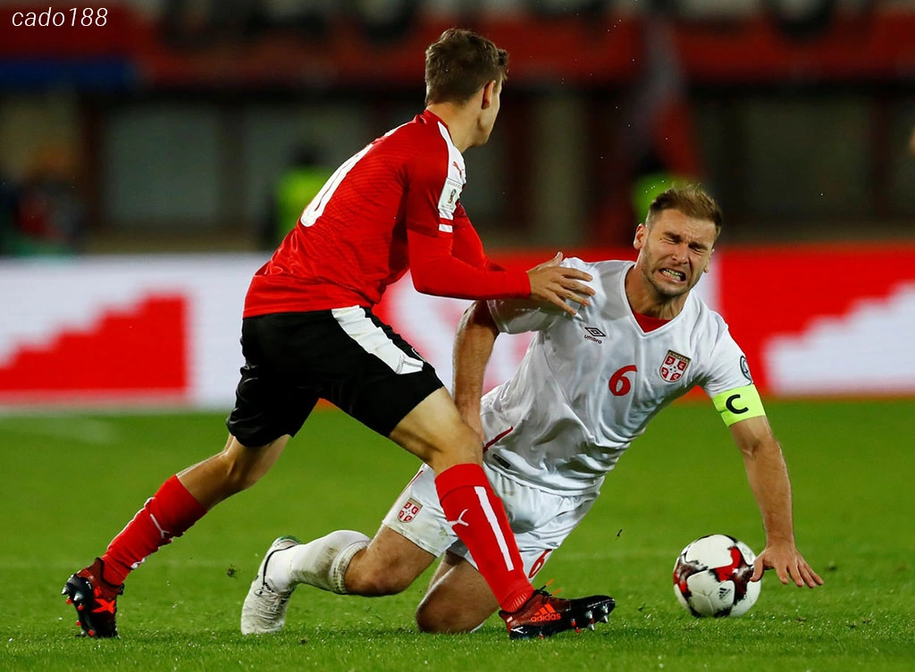 Nhận định kèo xiên 05/06 Áo vs Serbia, Giao hữu Quốc tế
