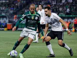 Soi kèo xiên ngày 18/07 Botafogo vs Palmeiras, Copa America