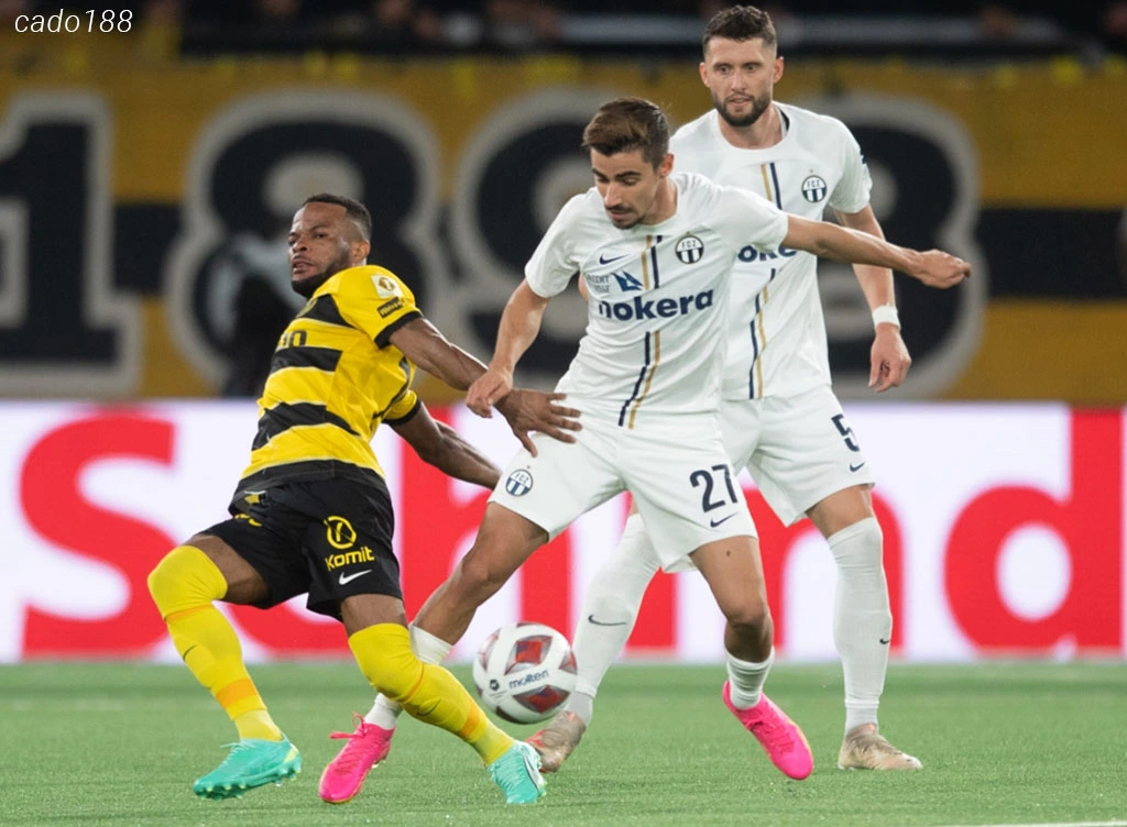 Soi kèo xiên ngày 04/08 Young Boys vs Zurich, VĐQG Thụy Sĩ