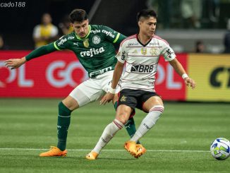Soi kèo xiên ngày 08/08 Palmeiras vs Flamengo, Cúp Brazil