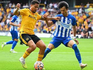 Nhận định kèo xiên 26/10 Brighton vs Wolves, Premier League