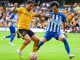 Nhận định kèo xiên 26/10 Brighton vs Wolves, Premier League