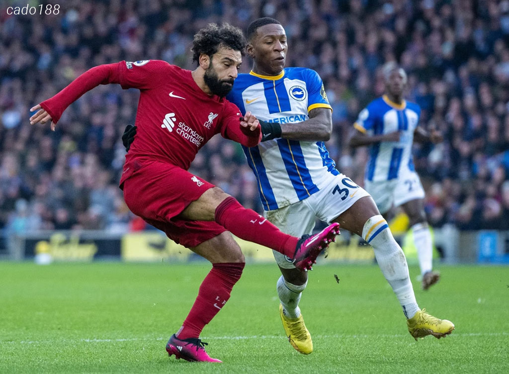 Soi kèo xiên ngày 31/10 Brighton vs LFC Liverpool, Carabao Cup