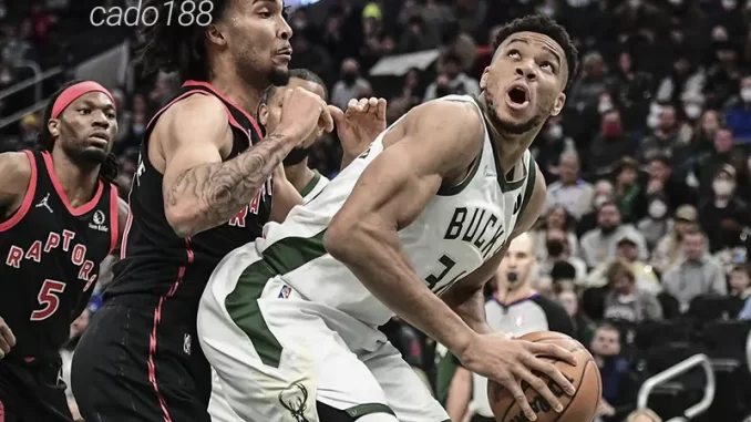 Soi kèo bóng rổ Milwaukee Bucks vs Toronto Raptors 13_11 Soi kèo bóng rổ Milwaukee Bucks vs Toronto Raptors 13_11