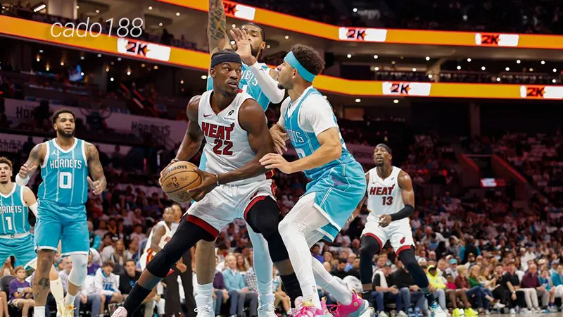 Soi kèo bóng rổ NBA Charlotte Hornets vs Miami Heat 28_11
