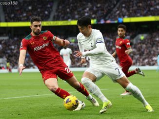 Soi kèo xiên ngày 29/12 Tottenham vs Wolves, EPL