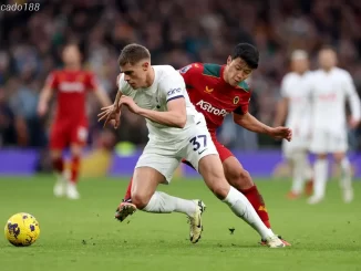 Nhận định soi kèo Tottenham vs Wolves, 22h00 ngày 29/12, EPL