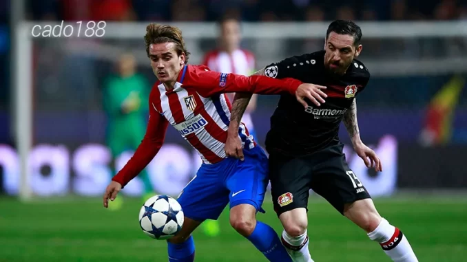 Nhận định soi kèo Atletico Madrid vs Bayer Leverkusen, 03h00 ngày 22.01-1 Nhận định soi kèo Atletico Madrid vs Bayer Leverkusen, 03h00 ngày 22.01-1