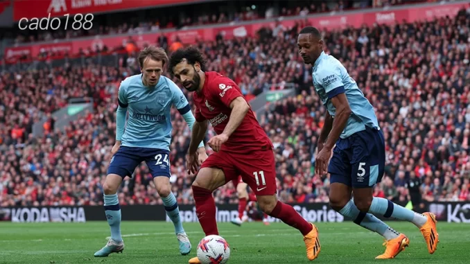 Nhận định soi kèo Brentford vs Liverpool, 22h00 ngày 18.01-1 Nhận định soi kèo Brentford vs Liverpool, 22h00 ngày 18.01-1