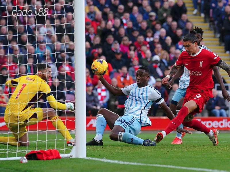 Nhận định soi kèo Nottingham vs Liverpool, 03h00 ngày 15.01-1