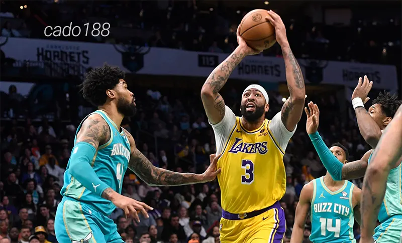 LaMelo Ball và đồng đội cần thể hiện phong độ ổn định hơn trong khoảng thời gian sắp tới Soi kèo bóng rổ Charlotte Hornets vs LA Lakers ngày 28_1
