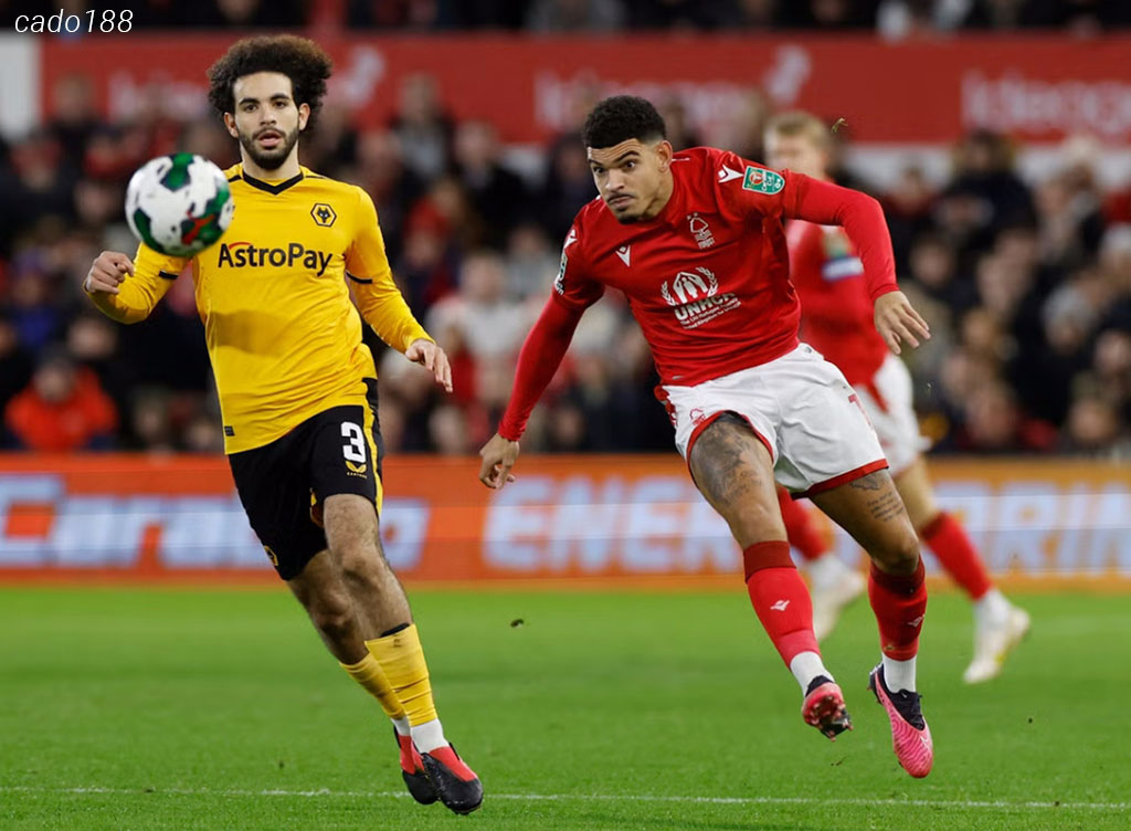 Nhận định kèo xiên 07/01 Wolves vs Nottingham Forest, EPL