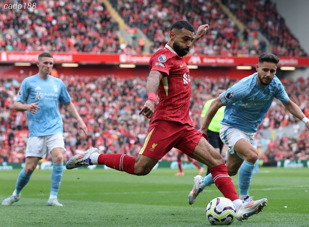 Soi kèo xiên 15/01 Nottingham Forest vs LFC Liverpool, EPL