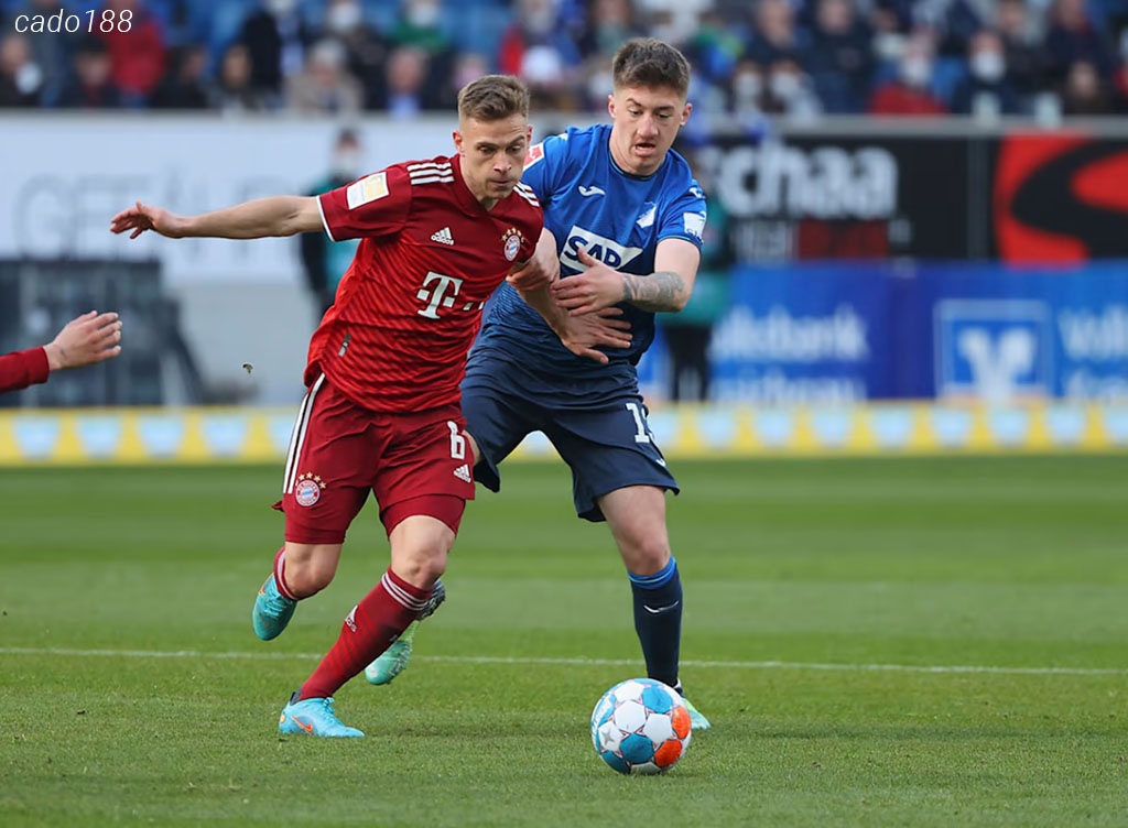 Nhận định kèo xiên 16/01 FC Bayern Munich vs Hoffenheim, Bundesliga