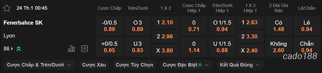 Nhận định kèo xiên 24/01 Fenerbahce vs Lyon, 03h00, Europa League