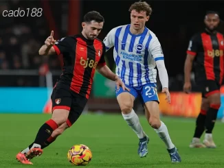 Nhận định soi kèo Brighton vs Bournemouth, 02h30 ngày 26.02-1