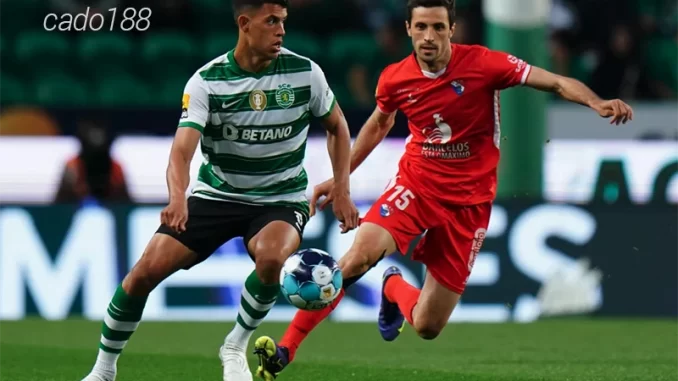 Nhận định soi kèo Gil Vicente vs Sporting Lisbon, 03h45 ngày 28.02-1 Nhận định soi kèo Gil Vicente vs Sporting Lisbon, 03h45 ngày 28.02-1