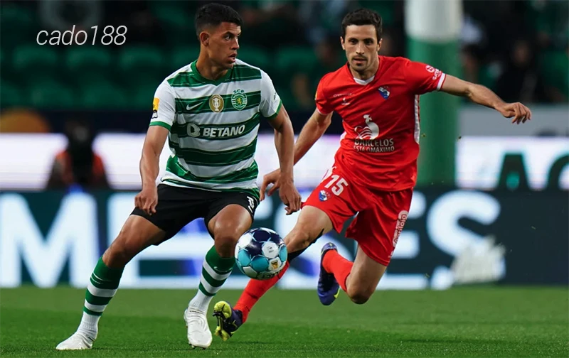 Nhận định soi kèo Gil Vicente vs Sporting Lisbon, 03h45 ngày 28.02-1