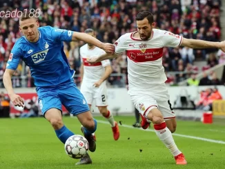 Nhận định soi kèo Hoffenheim vs Stuttgart, 01h30 ngày 24.02-1