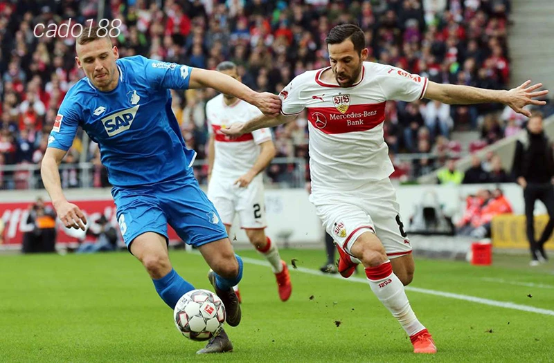 Nhận định soi kèo Hoffenheim vs Stuttgart, 01h30 ngày 24.02-1