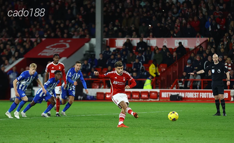 Nhận định soi kèo Nottingham vs Brighton, 19h30 ngày 01.02-1