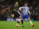 Soi kèo xiên ngày 02/03 Newcastle vs Brighton, FA Cup