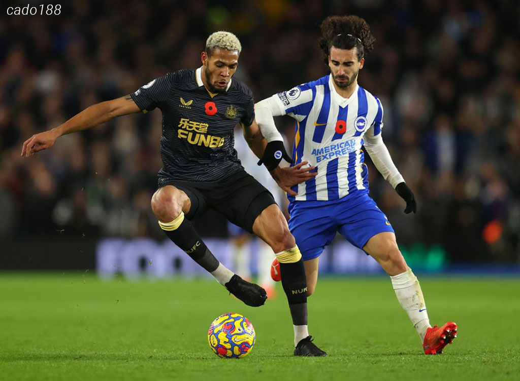 Soi kèo xiên ngày 02/03 Newcastle vs Brighton, FA Cup