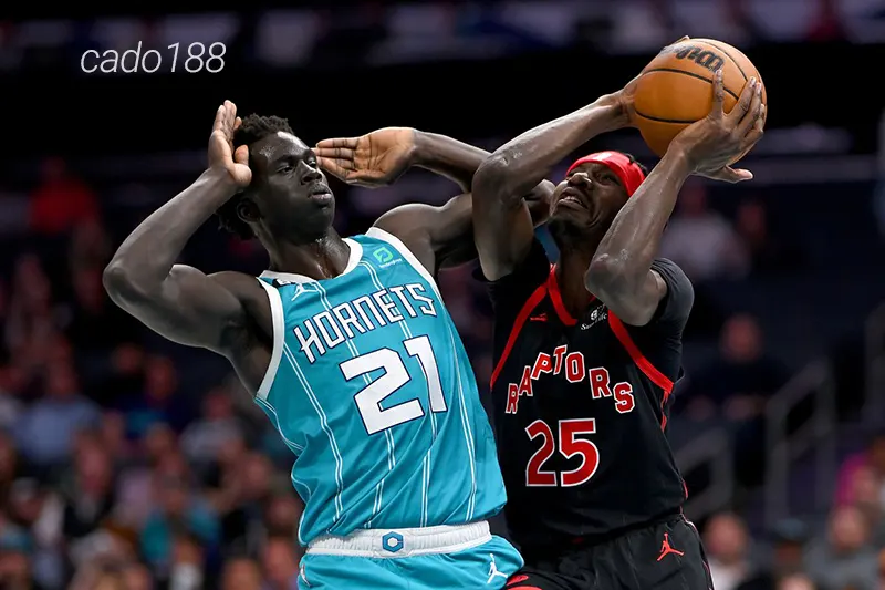 Ong Bắp Cày là thử thách tương đối nhẹ nhàng cho Toronto Raptors trên sân nhà sắp tới Soi kèo bóng rổ Toronto Raptors vs Charlotte Hornets 10_4