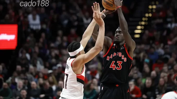 Soi kèo bóng rổ Toronto Raptors vs Portland Trail Blazers 4_4 Soi kèo bóng rổ Toronto Raptors vs Portland Trail Blazers 4_4