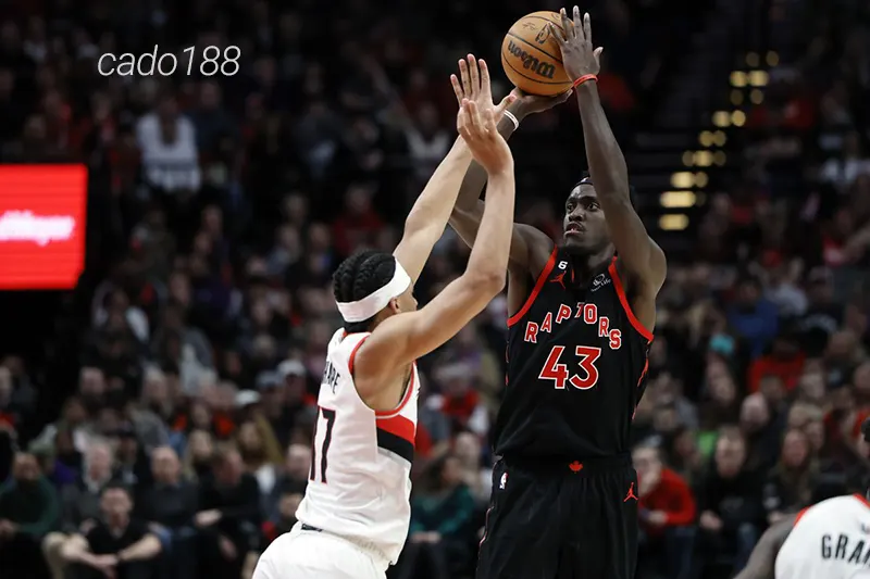 PT Blazers và Toronto Raptors đều còn rất ít cơ hội để cạnh tranh tấm vé vào chơi playin Soi kèo bóng rổ Toronto Raptors vs Portland Trail Blazers 4_4