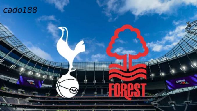 Soi kèo Tottenham vs Nottingham, 02h00 ngày 22/04